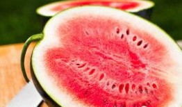 今日吃瓜每日必吃